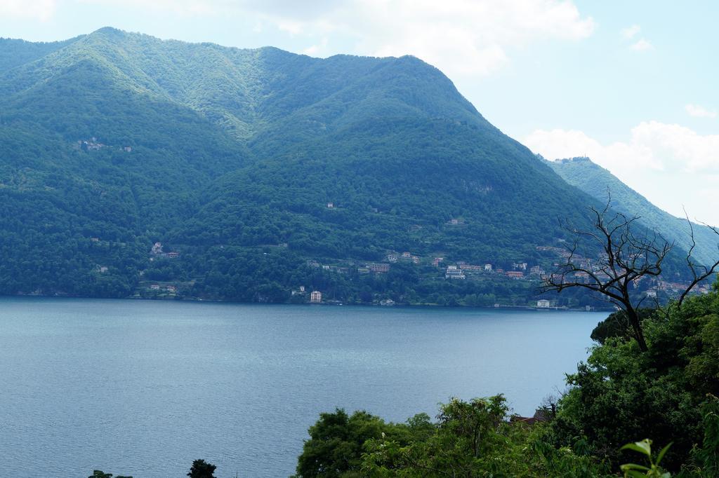 Residenza Andrea Olga Appartamento Laglio Esterno foto