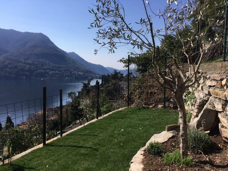 Residenza Andrea Olga Appartamento Laglio Esterno foto